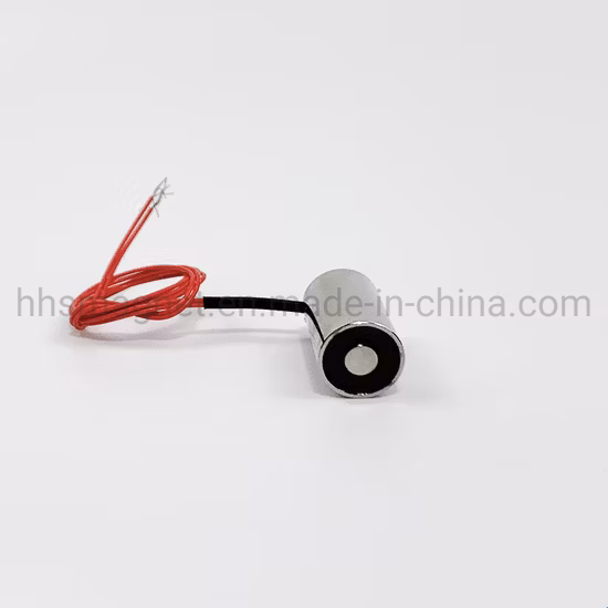 강력한 전자석 12/24VDC 대형 힘 영구 자석 자체